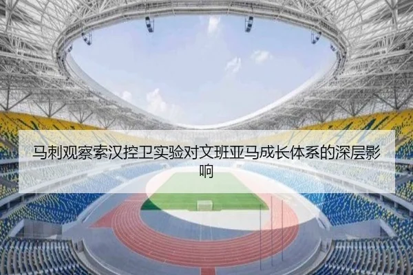 马刺观察索汉控卫实验对文班亚马成长体系的深层影响 | leyu